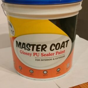 Master Coat PU Glossy Sealer Paint